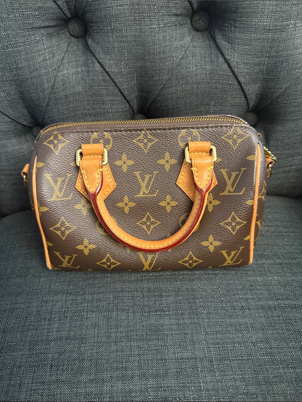 Louis Vuitton Speedy 20